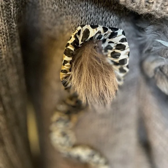 Cardigan medium - Picture 5 of 9